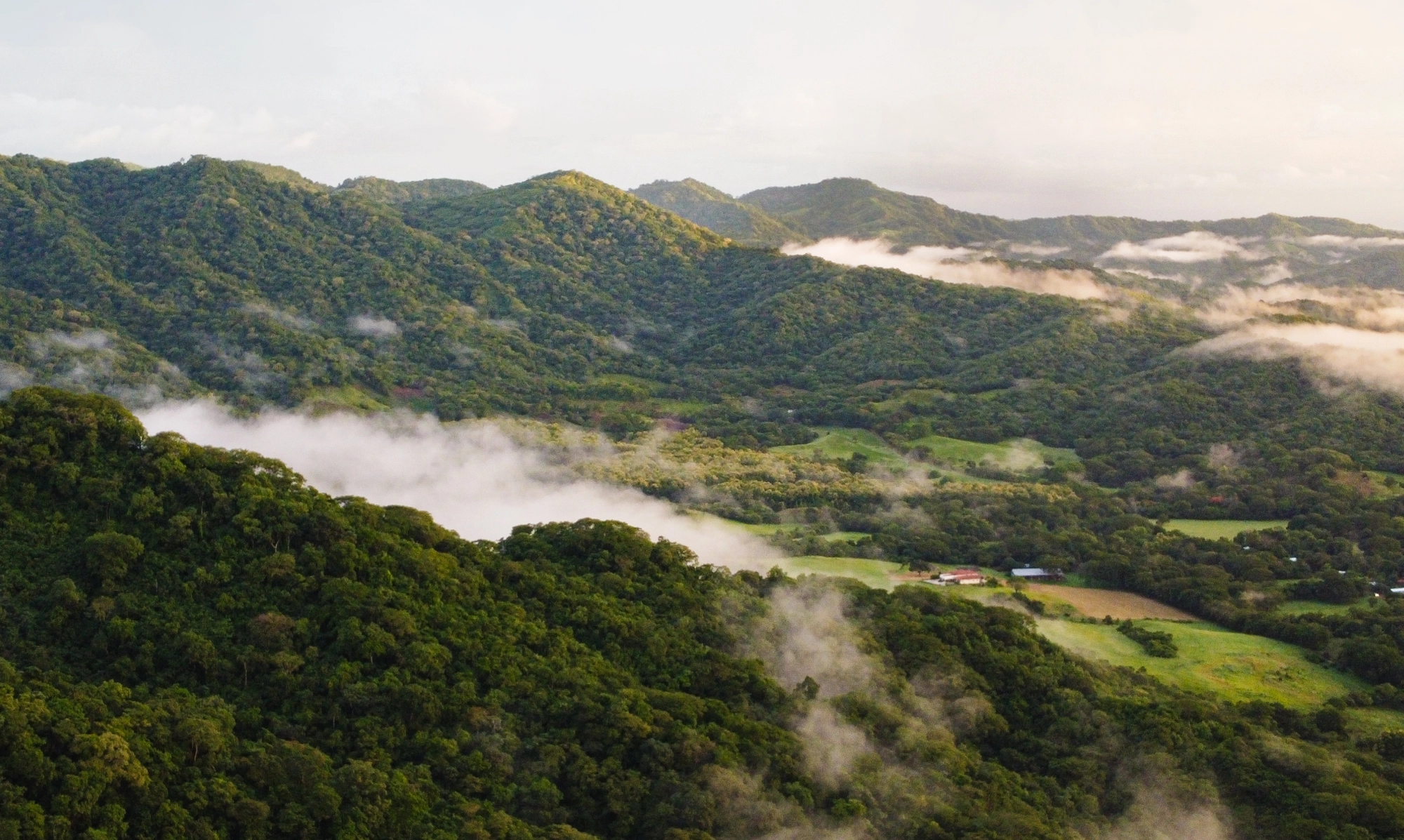 Faded image of a mountainous jungle